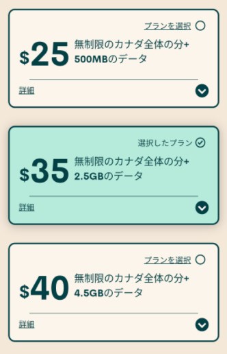 アクティベート手続きでプランを選択する画面。