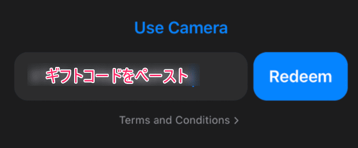 まだiTunes Storeで使用されていないという案内とともにパスワードや支払い情報の確認を求める画面。