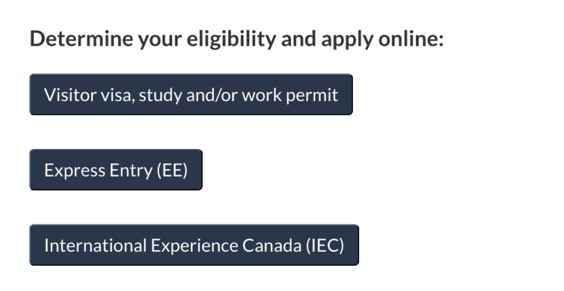 申請メニューからVisitor visa, study and/or work permitを選択する画面。